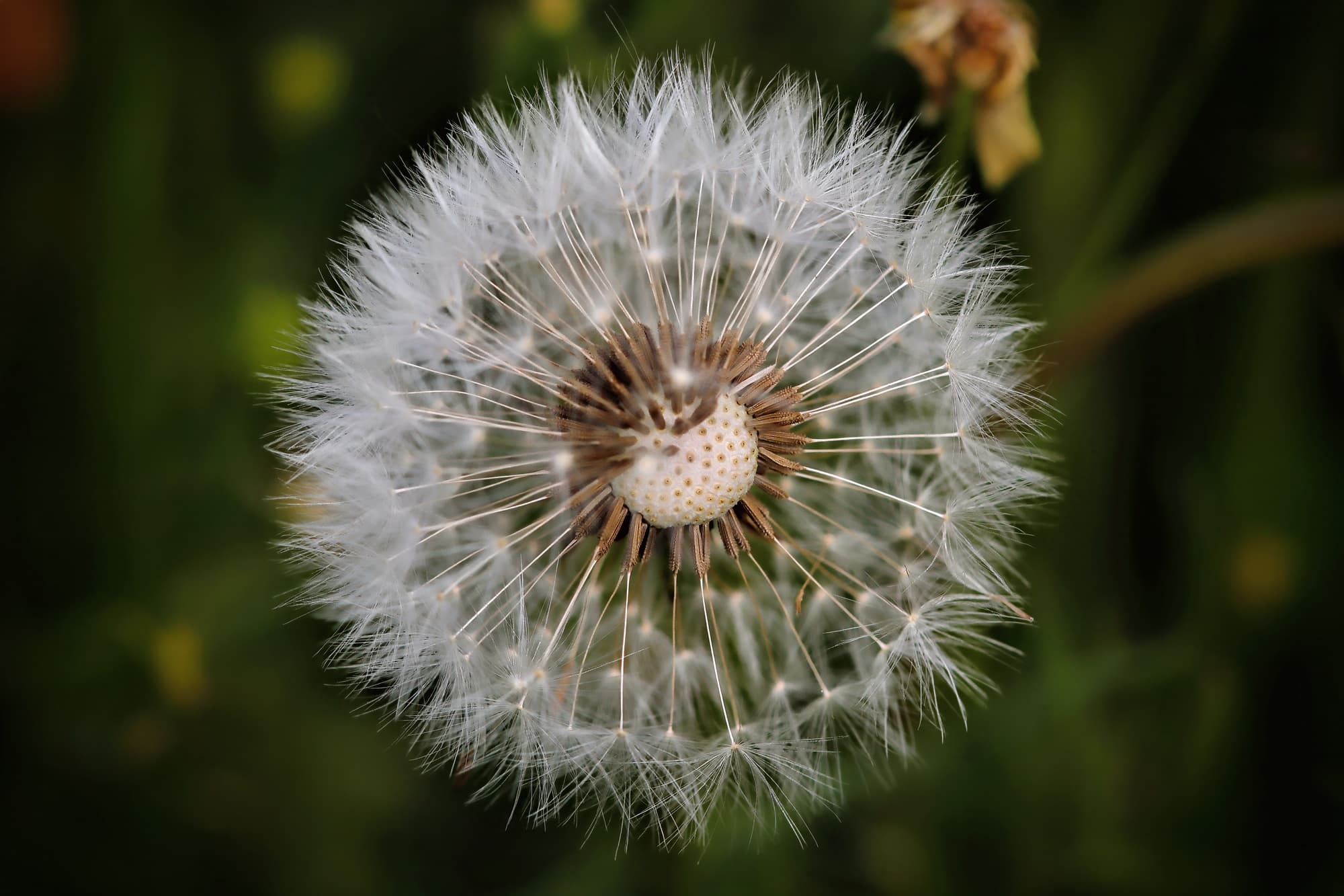 Hintergrundbild